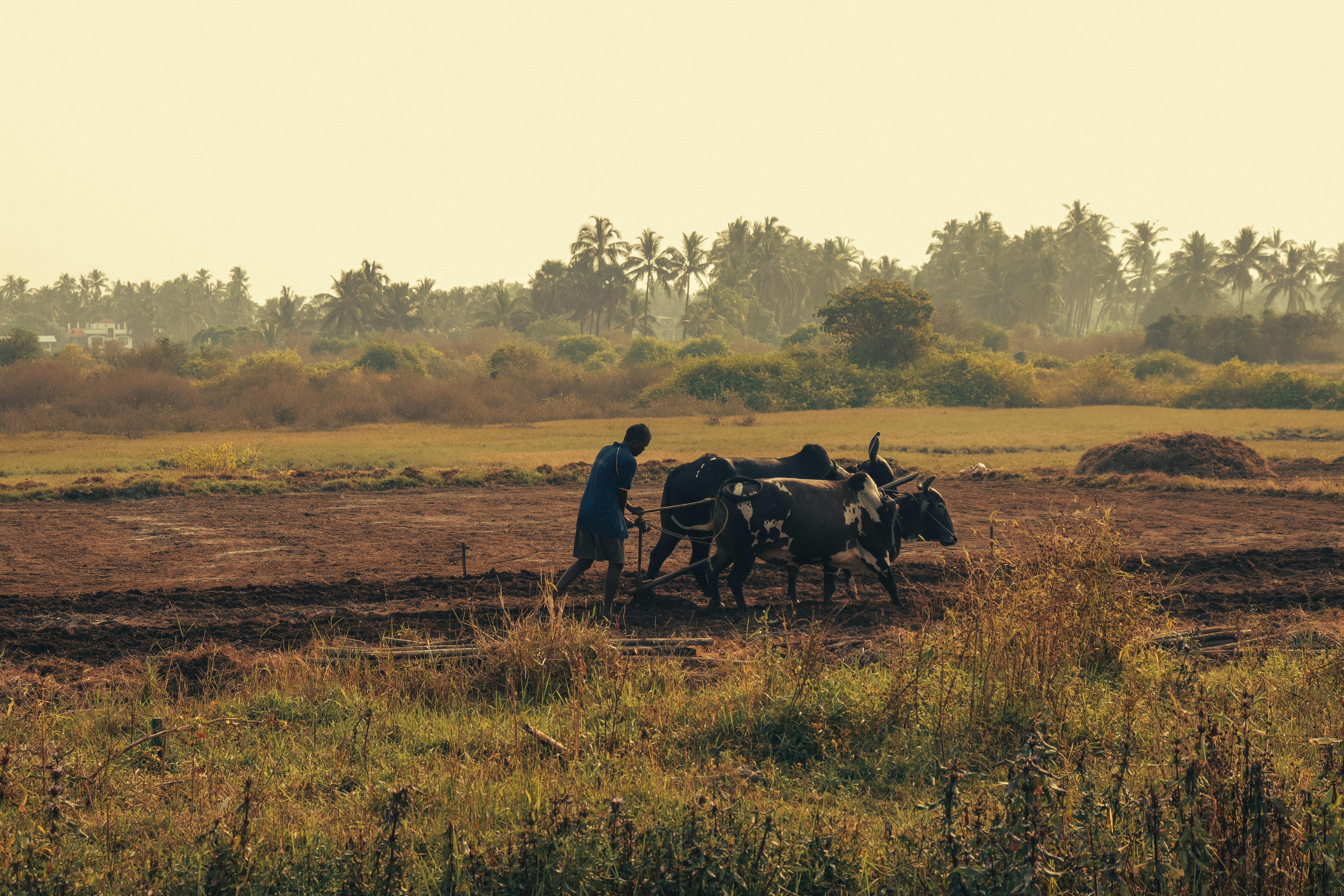 Climate Vulnerabilities, Conflicts, and Livelihood Dynamics in the Sahel synthesis team